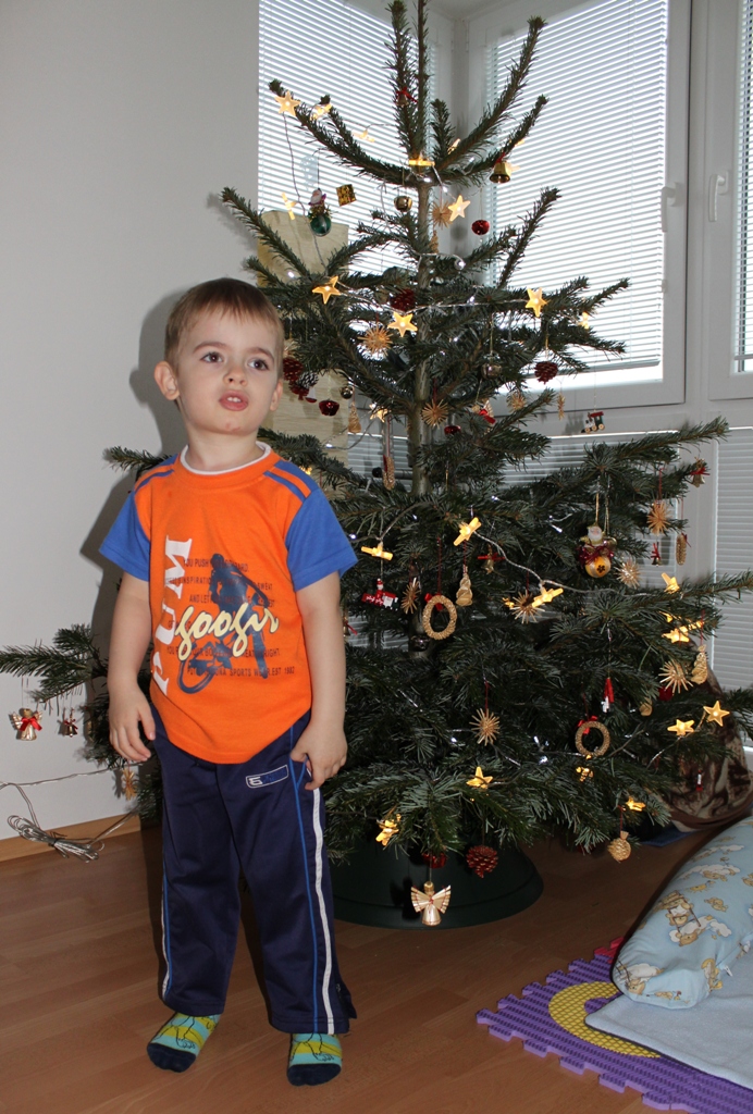 poslední minuty našeho stromečku